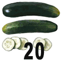 cucumber